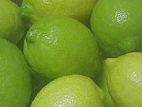 11月中旬〜12月下旬頃の国産レモンは緑色が薄くなり少し黄色くなりつつあります