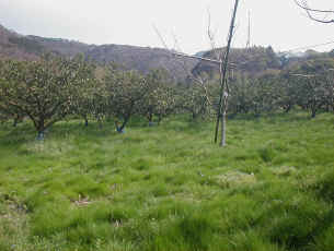 2008�N4��5��.jpg (207027 �o�C�g)