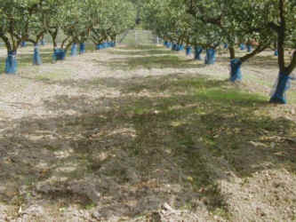 naginatagaya-10.jpg (47610 �o�C�g)