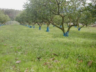 naginatagaya-13.jpg (43609 �o�C�g)