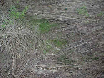 naginatagaya-23.jpg (99085 �o�C�g)