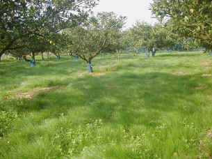 naginatagaya-24.jpg (93950 �o�C�g)