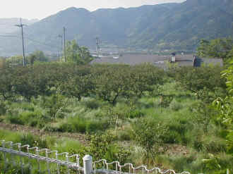 naginatagaya-25.jpg (79243 �o�C�g)