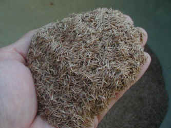 naginatagaya-4.jpg (34951 �o�C�g)