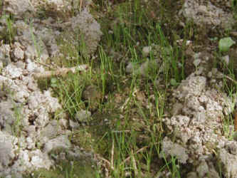 naginatagaya-8.jpg (53732 �o�C�g)