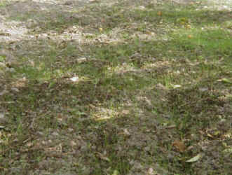 naginatagaya-9.jpg (48632 �o�C�g)