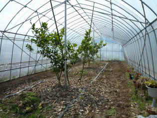 remon-12.jpg (136117 �o�C�g)