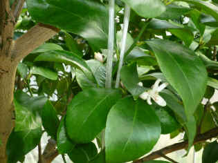 remon-17.jpg (95334 �o�C�g)