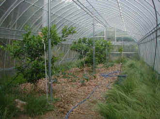 remon-2.jpg (79783 �o�C�g)