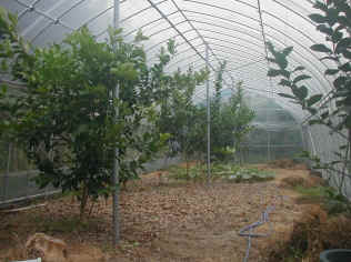 remon-9.jpg (79473 �o�C�g)