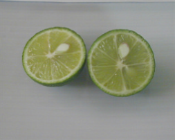 ��ʓI�ȍݗ��i��̓��Y�������ł�