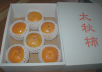 ���̂悤�ȃT�N�T�N�b�Ƃ����H�������������A�����ւ�Â��`�I