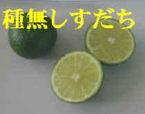 �ݗ��i��́u�햳���������v�ł�